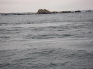 Camaret sur mer