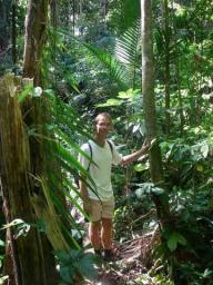 Jungle