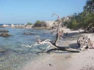 Blanquilla