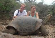 Reuzeschildpadden
