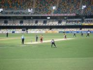 Cricket