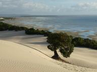 Big Sandhills
