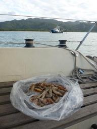 Magnetic Island