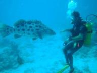 Lizard Island