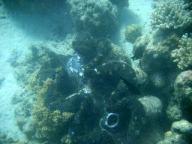 Lizard Island
