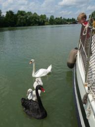 Slootje varen