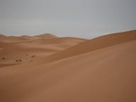 Sahara