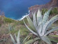 La Gomera